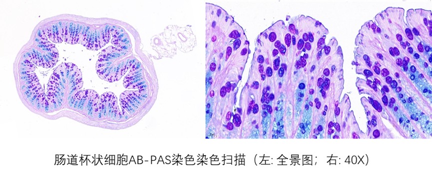 1767669097355010523.jpg 1767669097355010523.jpg