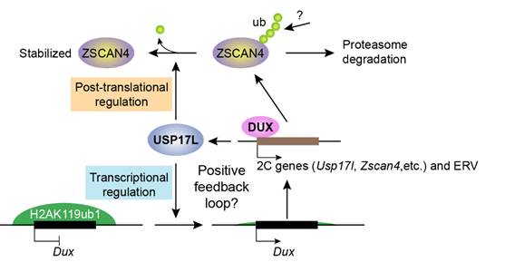 Fig 7