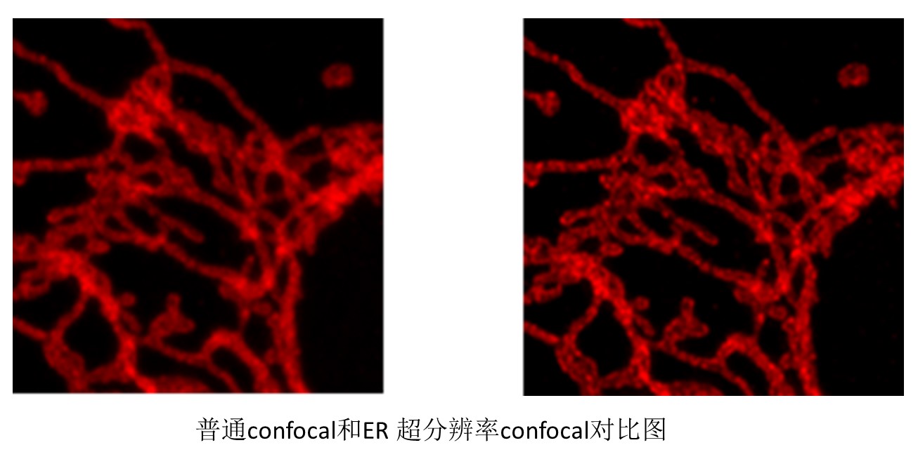 1767668369819020219.jpg 1767668369819020219.jpg