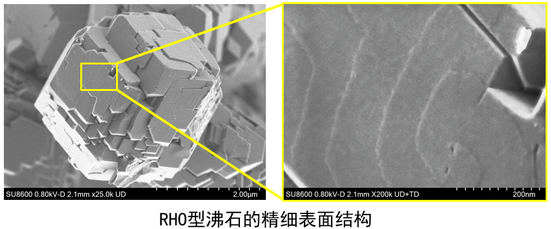 20250916 细胞生物学平台日立（Hitachi）SU8600冷场发射扫描电子显微镜上机培训通知 内插1.png