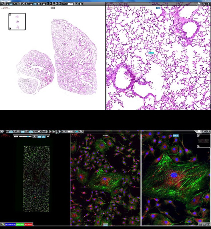 1767669308009076202.jpg 1767669308009076202.jpg