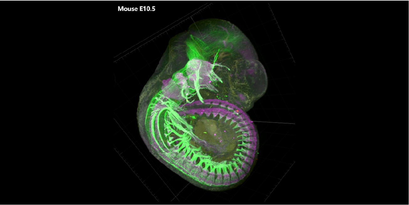 1775007996105063096.jpg 1775007996105063096.jpg